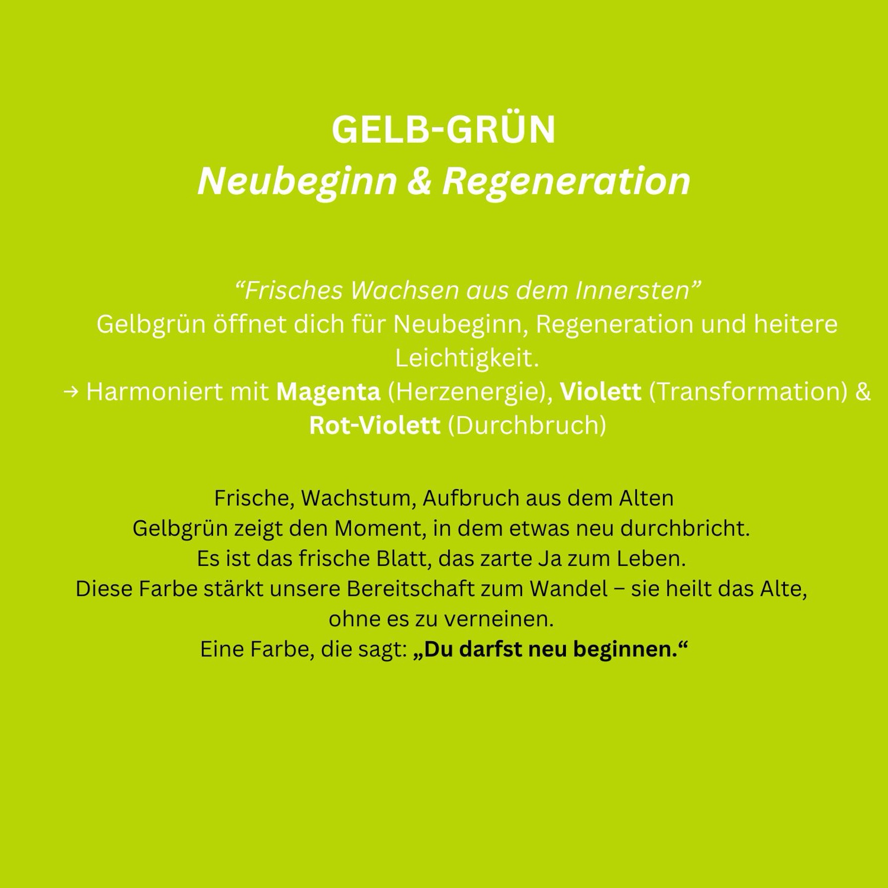 ernestine FR_gelb-grün